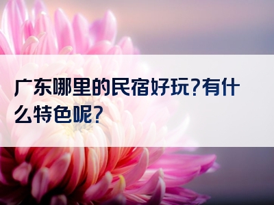 广东哪里的民宿好玩？有什么特色呢？