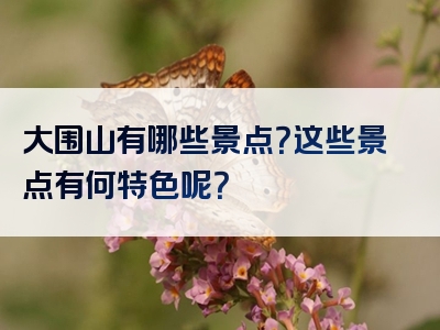 大围山有哪些景点？这些景点有何特色呢？