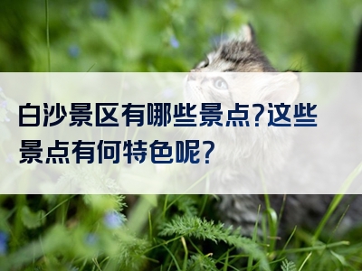 白沙景区有哪些景点？这些景点有何特色呢？