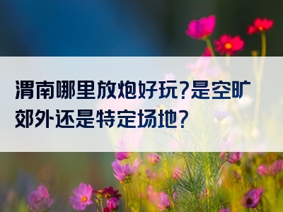 渭南哪里放炮好玩？是空旷郊外还是特定场地？