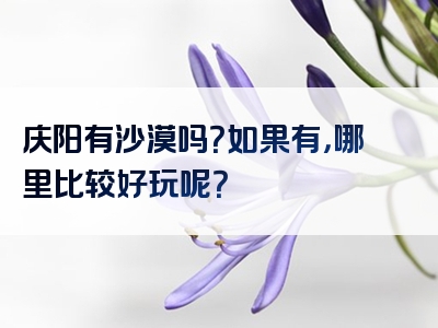 庆阳有沙漠吗？如果有，哪里比较好玩呢？