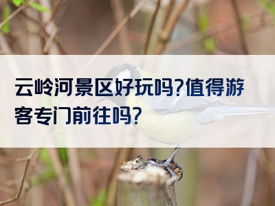 云岭河景区好玩吗？值得游客专门前往吗？