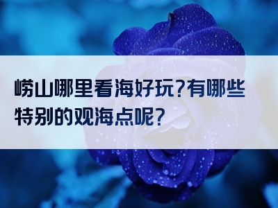 崂山哪里看海好玩？有哪些特别的观海点呢？