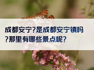 成都安宁？是成都安宁镇吗？那里有哪些景点呢？