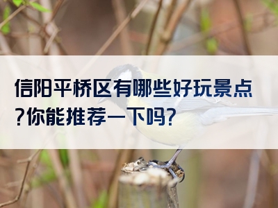 信阳平桥区有哪些好玩景点？你能推荐一下吗？