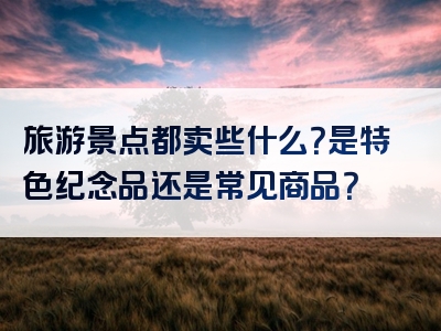 旅游景点都卖些什么？是特色纪念品还是常见商品？