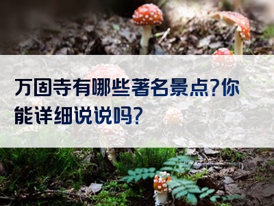 万固寺有哪些著名景点？你能详细说说吗？