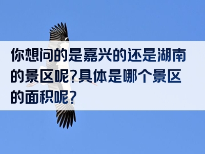 你想问的是嘉兴的还是湖南的景区呢？具体是哪个景区的面积呢？