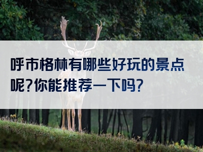 呼市格林有哪些好玩的景点呢？你能推荐一下吗？