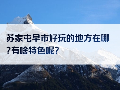 苏家屯早市好玩的地方在哪？有啥特色呢？