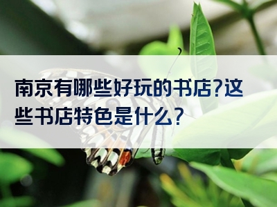 南京有哪些好玩的书店？这些书店特色是什么？