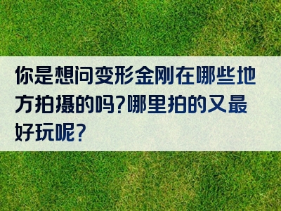 你是想问变形金刚在哪些地方拍摄的吗？哪里拍的又最好玩呢？