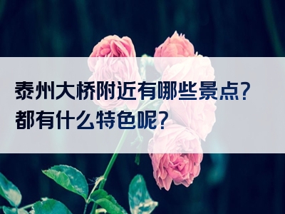 泰州大桥附近有哪些景点？都有什么特色呢？