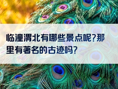 临潼渭北有哪些景点呢？那里有著名的古迹吗？