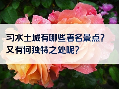 习水土城有哪些著名景点？又有何独特之处呢？