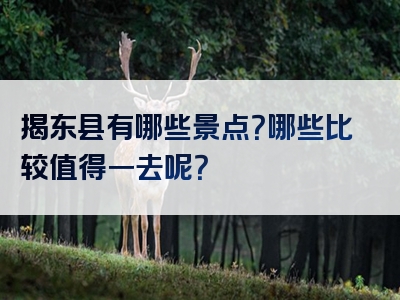 揭东县有哪些景点？哪些比较值得一去呢？