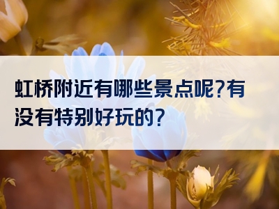 虹桥附近有哪些景点呢？有没有特别好玩的？
