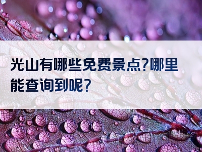 光山有哪些免费景点？哪里能查询到呢？