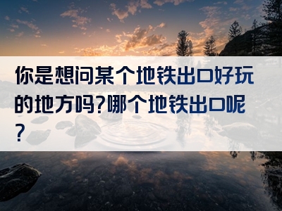 你是想问某个地铁出口好玩的地方吗？哪个地铁出口呢？