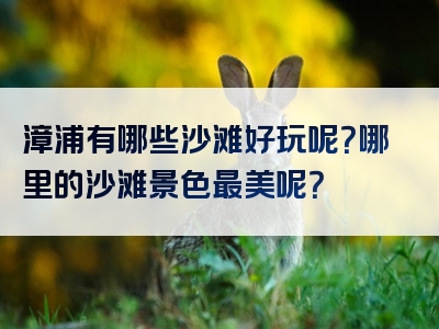 漳浦有哪些沙滩好玩呢？哪里的沙滩景色最美呢？