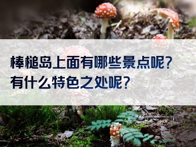 棒槌岛上面有哪些景点呢？有什么特色之处呢？