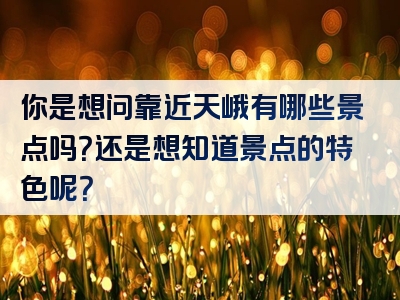 你是想问靠近天峨有哪些景点吗？还是想知道景点的特色呢？