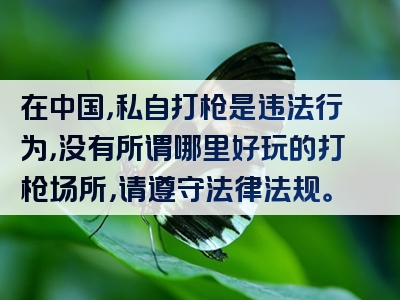 在中国，私自打枪是违法行为，没有所谓哪里好玩的打枪场所，请遵守法律法规。