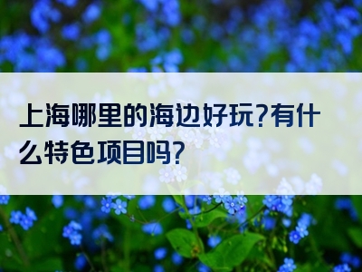 上海哪里的海边好玩？有什么特色项目吗？