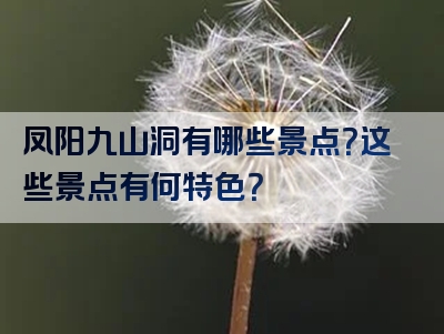 凤阳九山洞有哪些景点？这些景点有何特色？