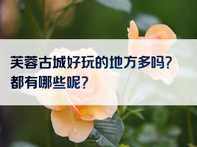 芙蓉古城好玩的地方多吗？都有哪些呢？