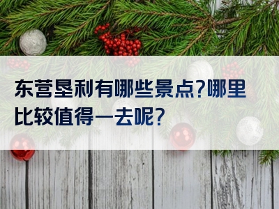 东营垦利有哪些景点？哪里比较值得一去呢？