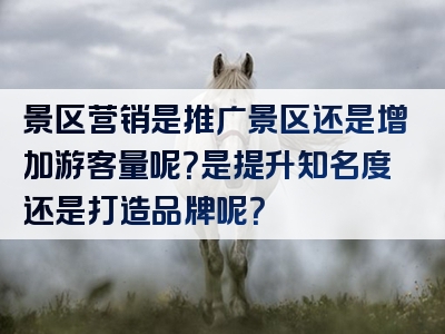 景区营销是推广景区还是增加游客量呢？是提升知名度还是打造品牌呢？