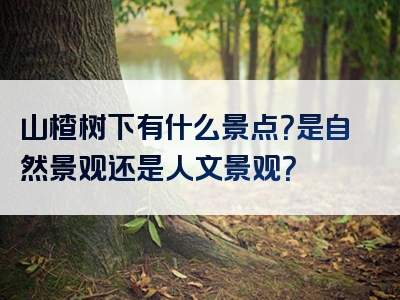 山楂树下有什么景点？是自然景观还是人文景观？