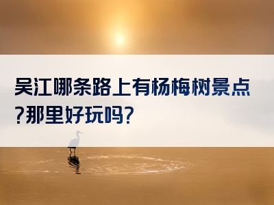 吴江哪条路上有杨梅树景点？那里好玩吗？