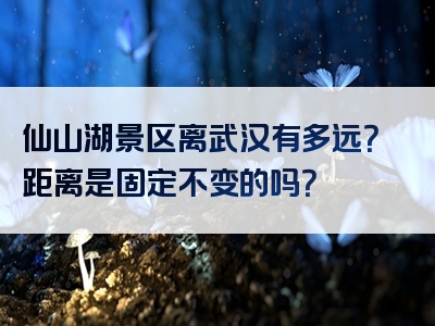 仙山湖景区离武汉有多远？距离是固定不变的吗？