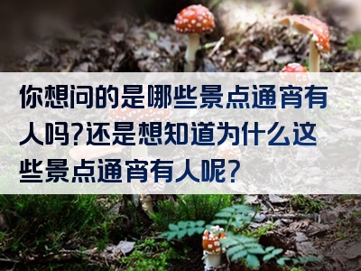 你想问的是哪些景点通宵有人吗？还是想知道为什么这些景点通宵有人呢？