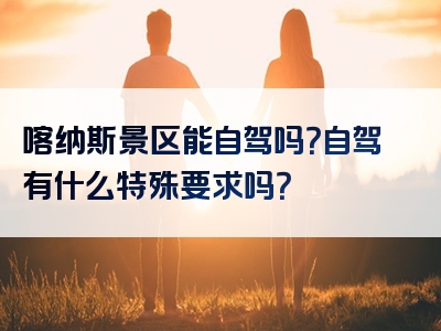 喀纳斯景区能自驾吗？自驾有什么特殊要求吗？