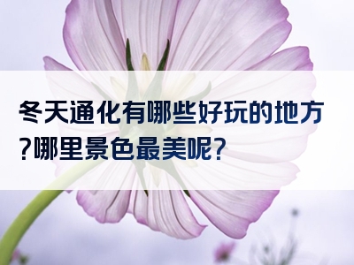 冬天通化有哪些好玩的地方？哪里景色最美呢？