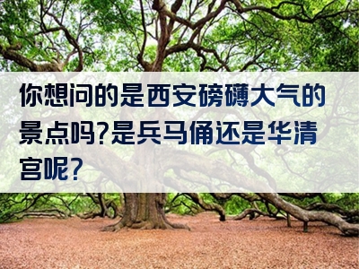 你想问的是西安磅礴大气的景点吗？是兵马俑还是华清宫呢？
