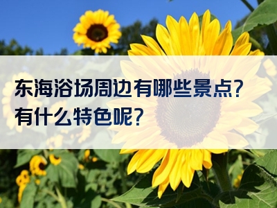 东海浴场周边有哪些景点？有什么特色呢？