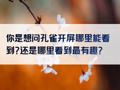 你是想问孔雀开屏哪里能看到？还是哪里看到最有趣？