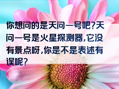 你想问的是天问一号吧？天问一号是火星探测器，它没有景点呀，你是不是表述有误呢？