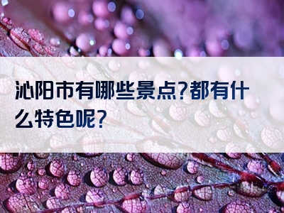 沁阳市有哪些景点？都有什么特色呢？