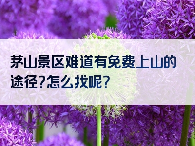 茅山景区难道有免费上山的途径？怎么找呢？