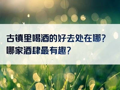 古镇里喝酒的好去处在哪？哪家酒肆最有趣？