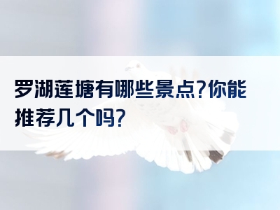 罗湖莲塘有哪些景点？你能推荐几个吗？