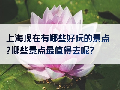 上海现在有哪些好玩的景点？哪些景点最值得去呢？