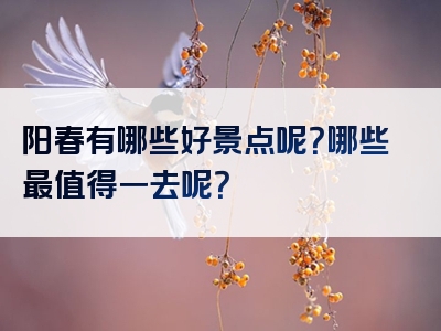 阳春有哪些好景点呢？哪些最值得一去呢？