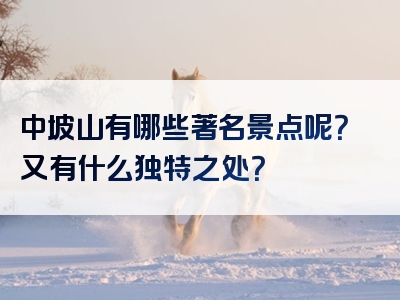 中坡山有哪些著名景点呢？又有什么独特之处？