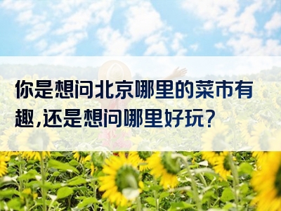 你是想问北京哪里的菜市有趣，还是想问哪里好玩？